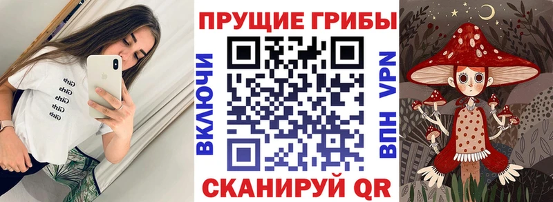 Галлюциногенные грибы прущие грибы  Пермь 