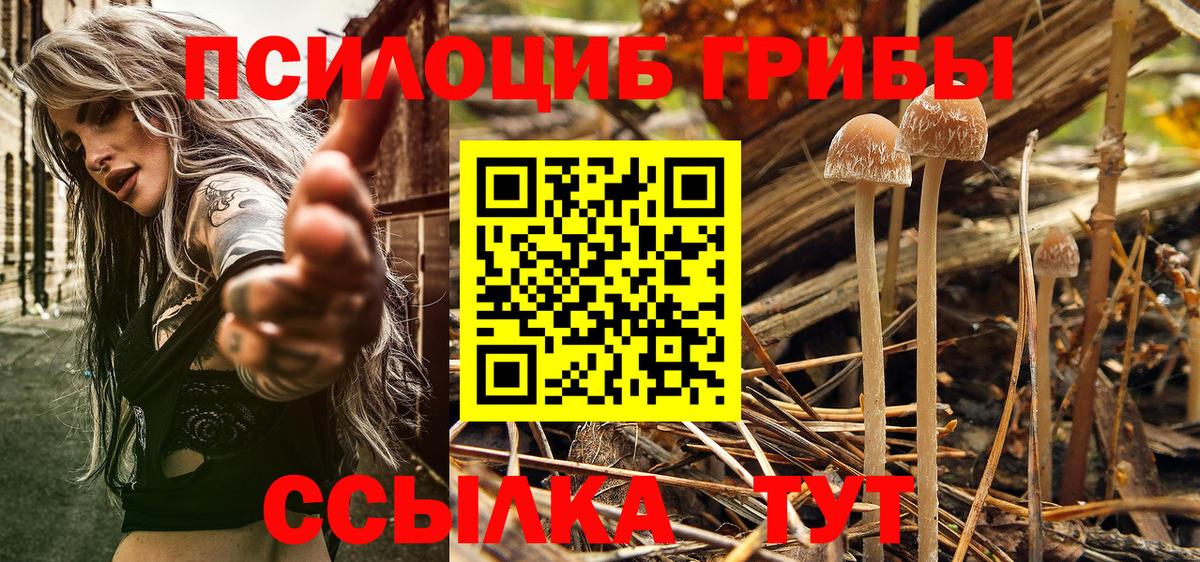 Псилоцибиновые грибы ЛСД  Вход с VPN  Галлюциногенные грибы Psilocybe  Пермь 